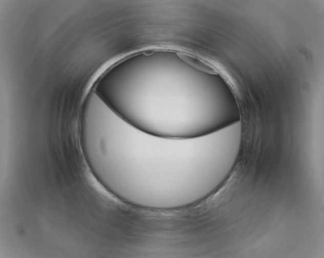 X0000112871100200908211024