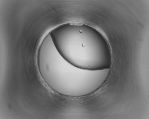 X0000112871104200908211024