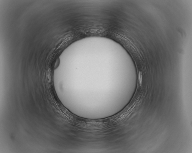 X0000112871107200908211023