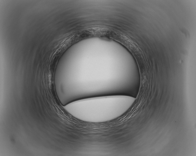 X0000112871108200908211023