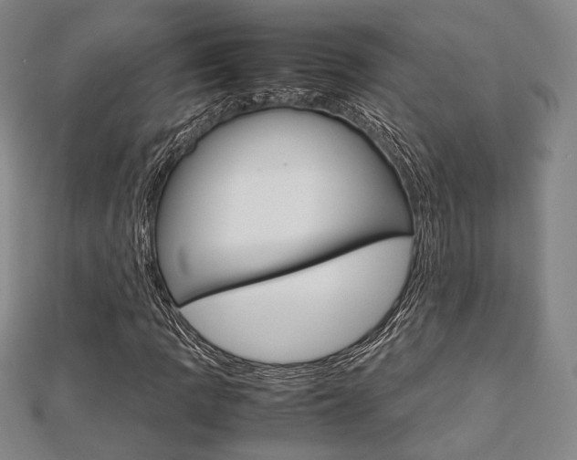 X0000112871109200908211024