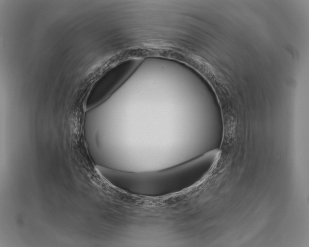 X0000112871110200908211024