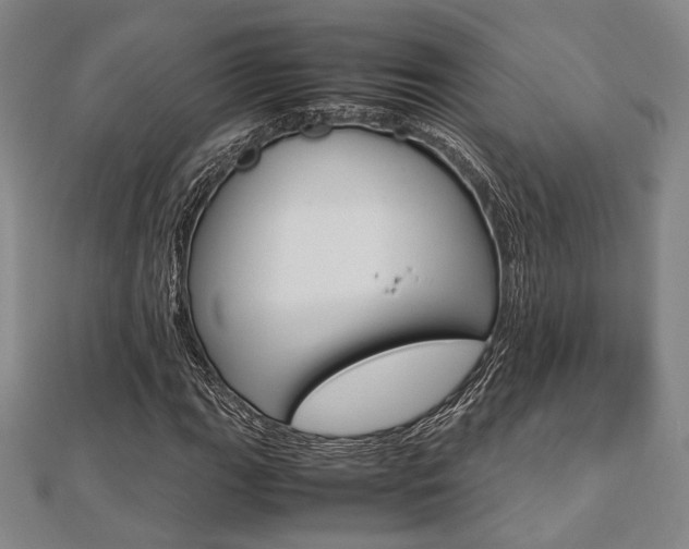 X0000112871111200908211024