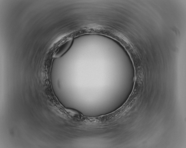 X0000112871112200908211024