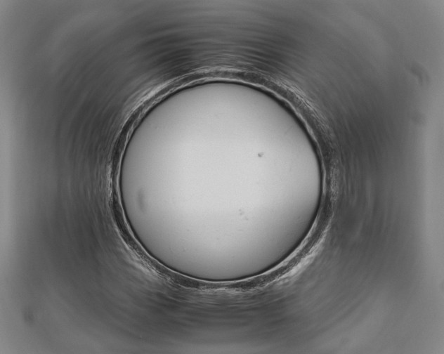X0000112871113200908211024