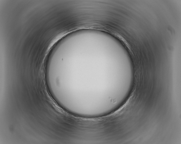 X0000112871114200908211024