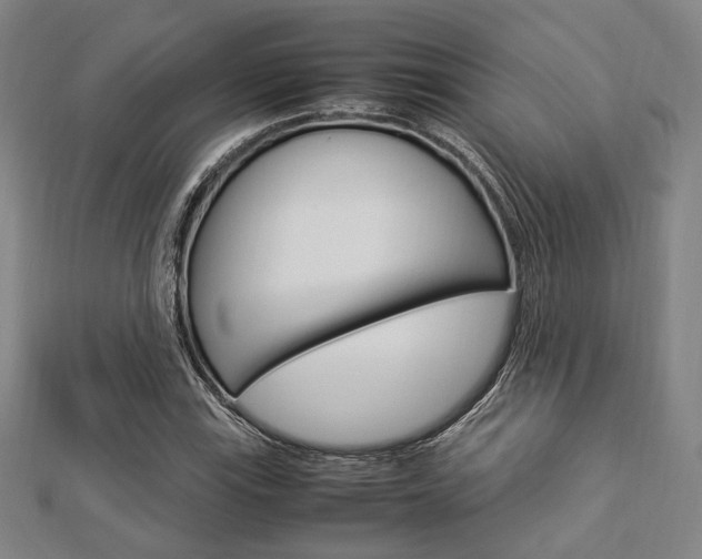 X0000112871115200908211024