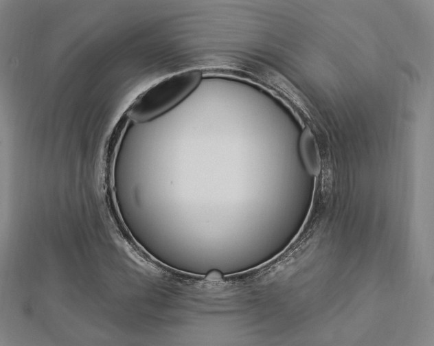 X0000112871116200908211024