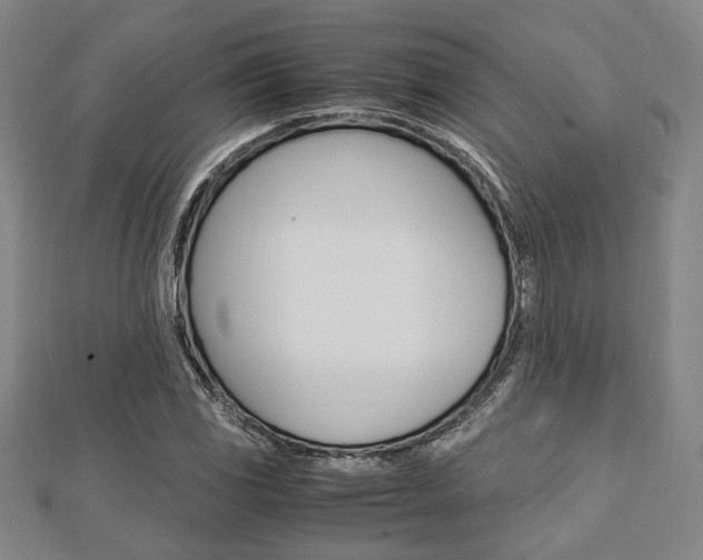 X0000112871117200908211024