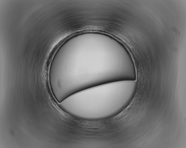 X0000112871119200908211024