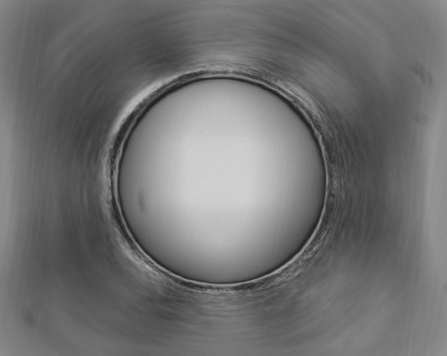 X0000112871120200908211024