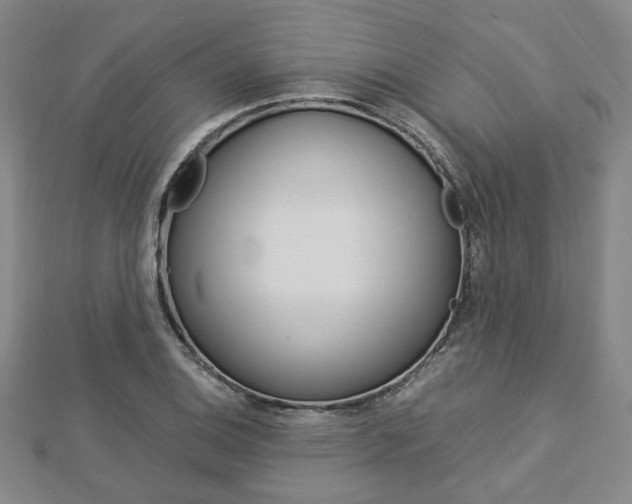 X0000112871124200908211024