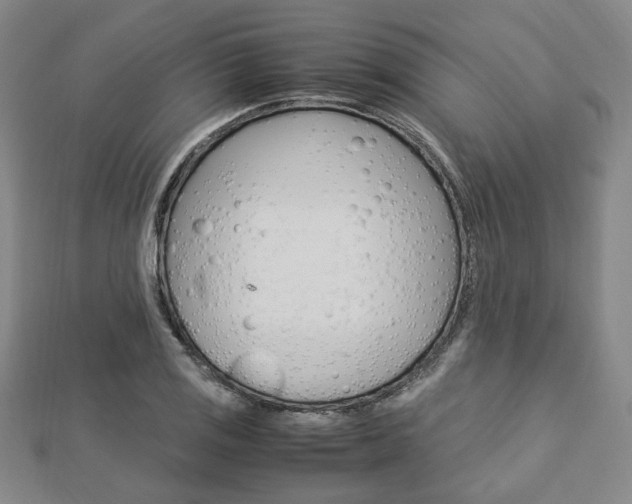 X0000112871125200908211024