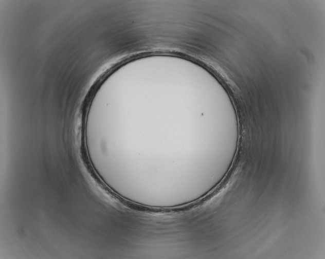 X0000112871126200908211024