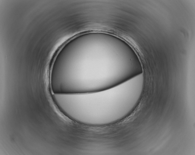X0000112871128200908211024