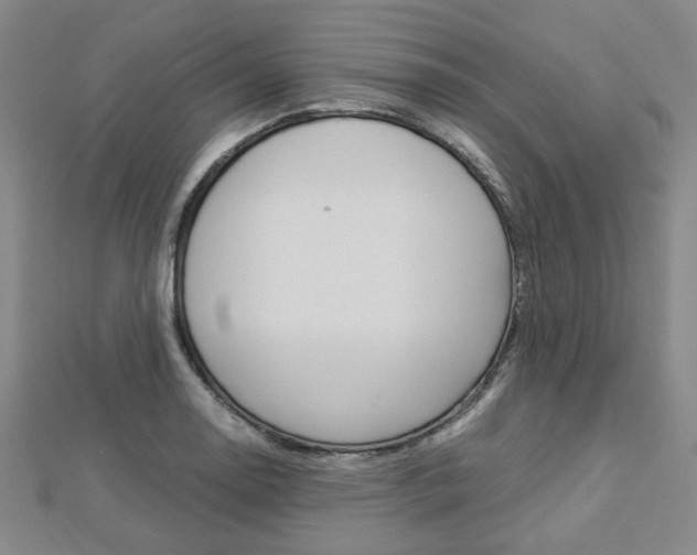 X0000112871130200908211024