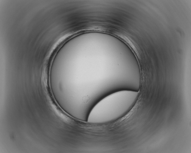 X0000112871131200908211024