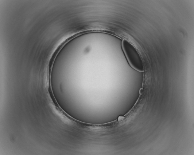 X0000112871132200908211024