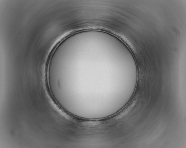 X0000112871134200908211024