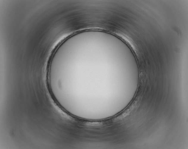 X0000112871135200908211024