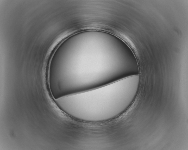 X0000112871138200908211024