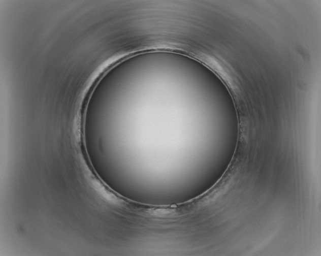 X0000112871140200908211024