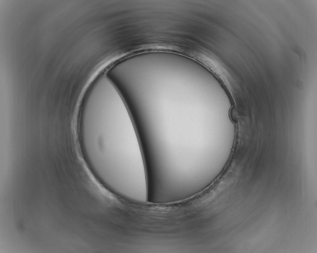 X0000112871141200908211024