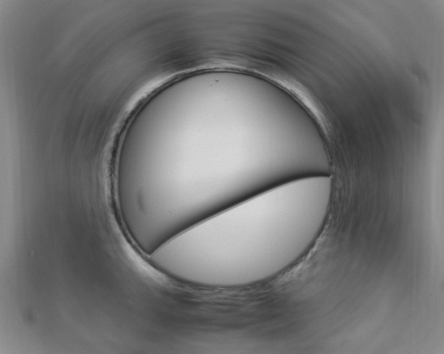 X0000112871143200908211024