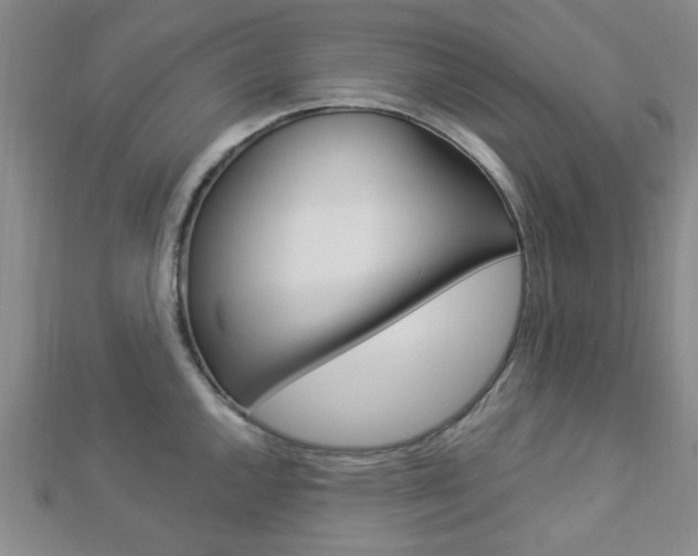X0000112871144200908211024