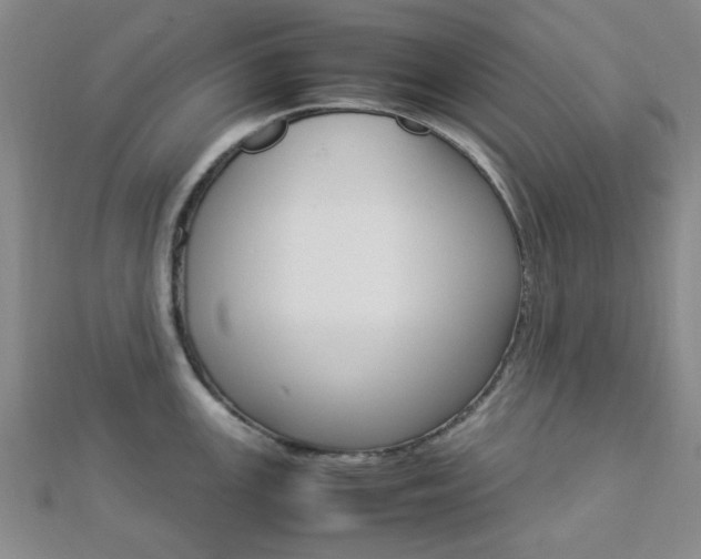 X0000112871147200908211024