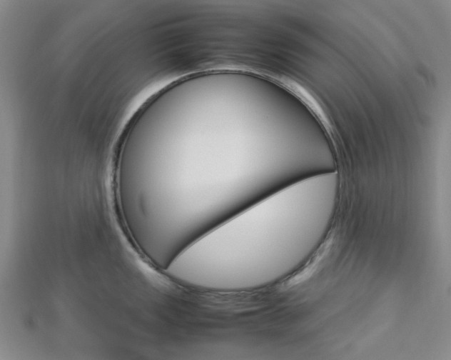 X0000112871149200908211024