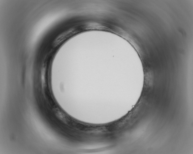 X0000112871150200908211024