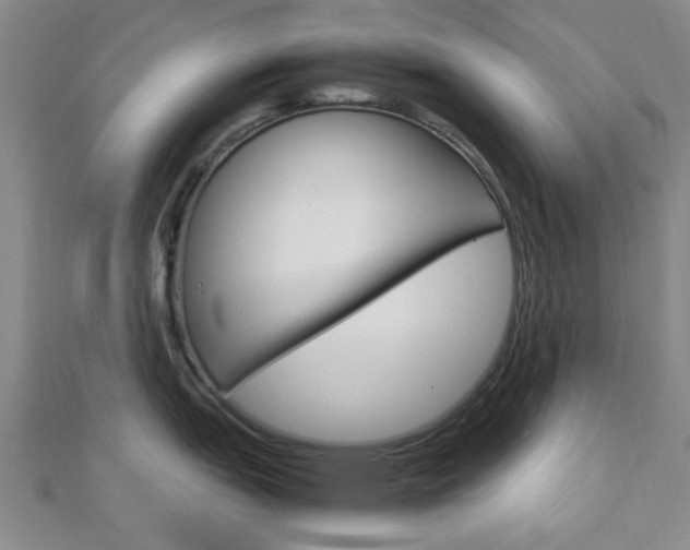 X0000112871151200908211024