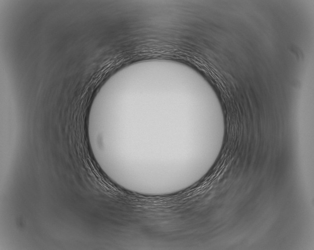 X0000112871153200908211023