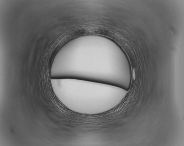X0000112871155200908211023