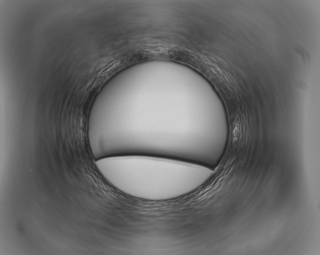 X0000112871156200908211023