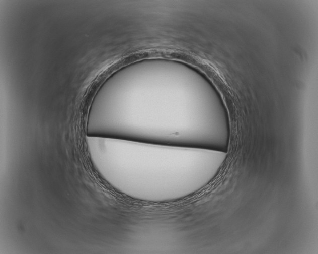 X0000112871159200908211023
