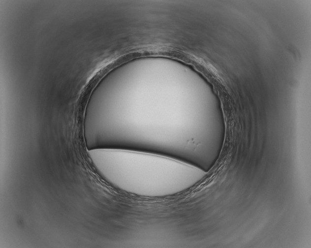 X0000112871160200908211023