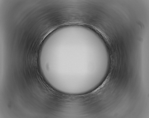 X0000112871162200908211023