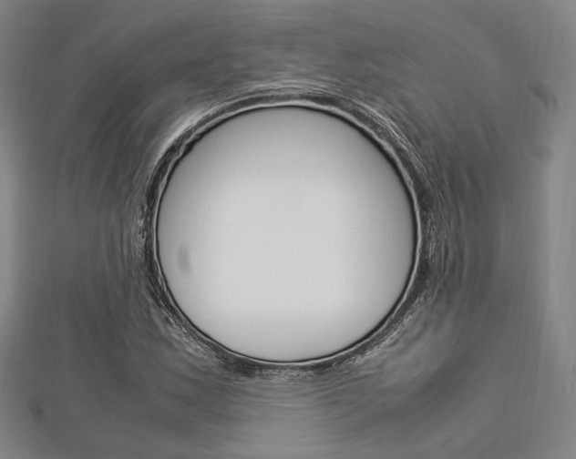 X0000112871163200908211023