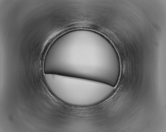 X0000112871164200908211023