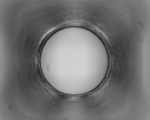 X0000112871166200908211023
