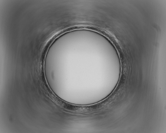 X0000112871167200908211023