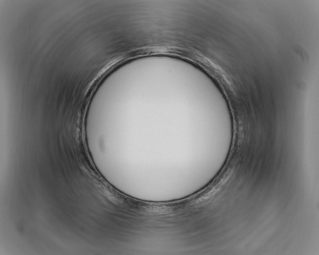 X0000112871170200908211023