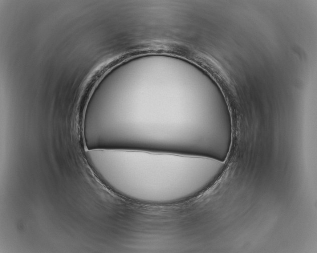 X0000112871172200908211023