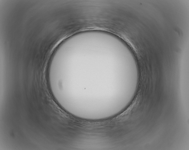 X0000112871173200908211023