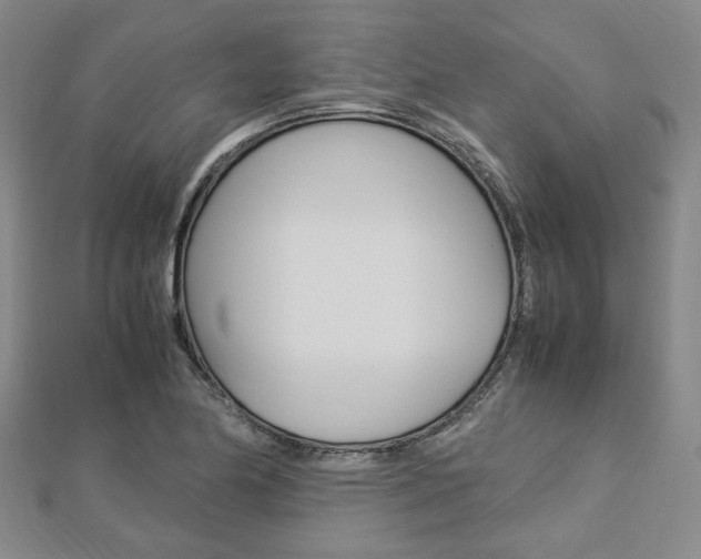 X0000112871174200908211023