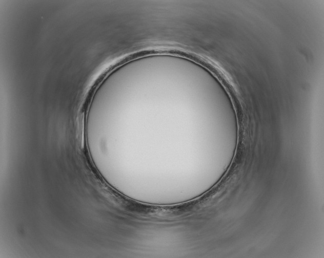 X0000112871175200908211023