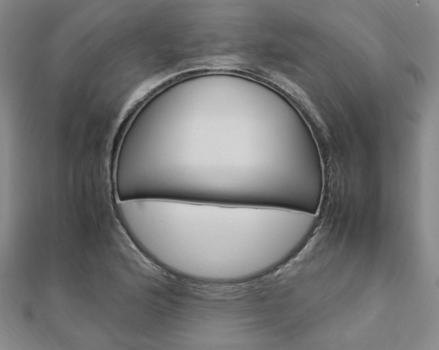 X0000112871176200908211023