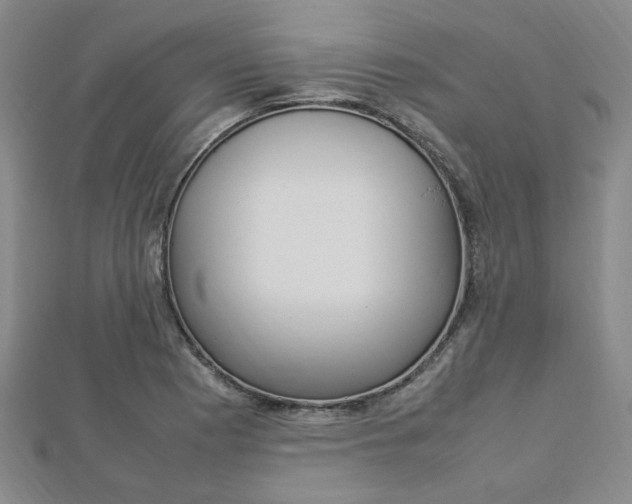 X0000112871177200908211023
